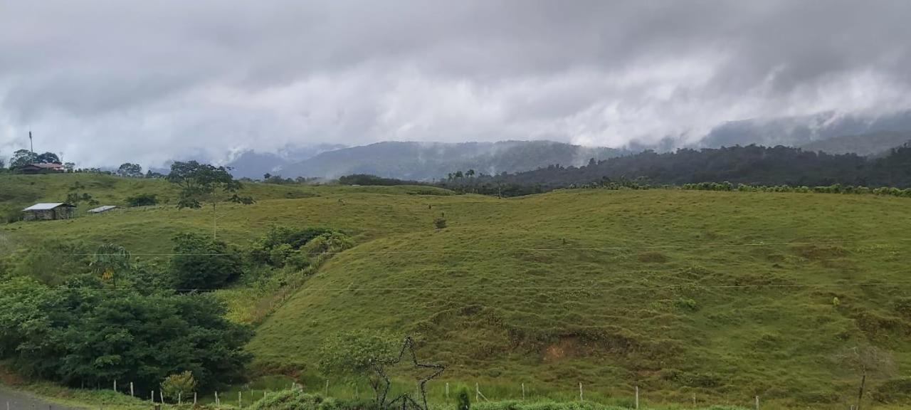 El Rincon De Las Flores Bajo Tigre Екстериор снимка
