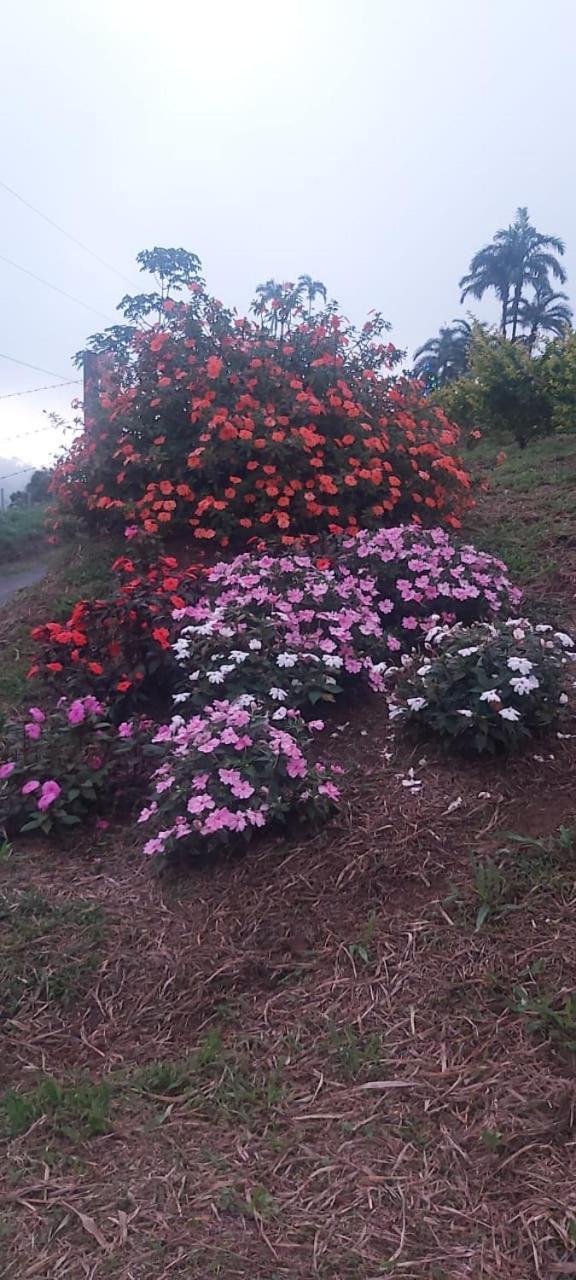 El Rincon De Las Flores Bajo Tigre Екстериор снимка